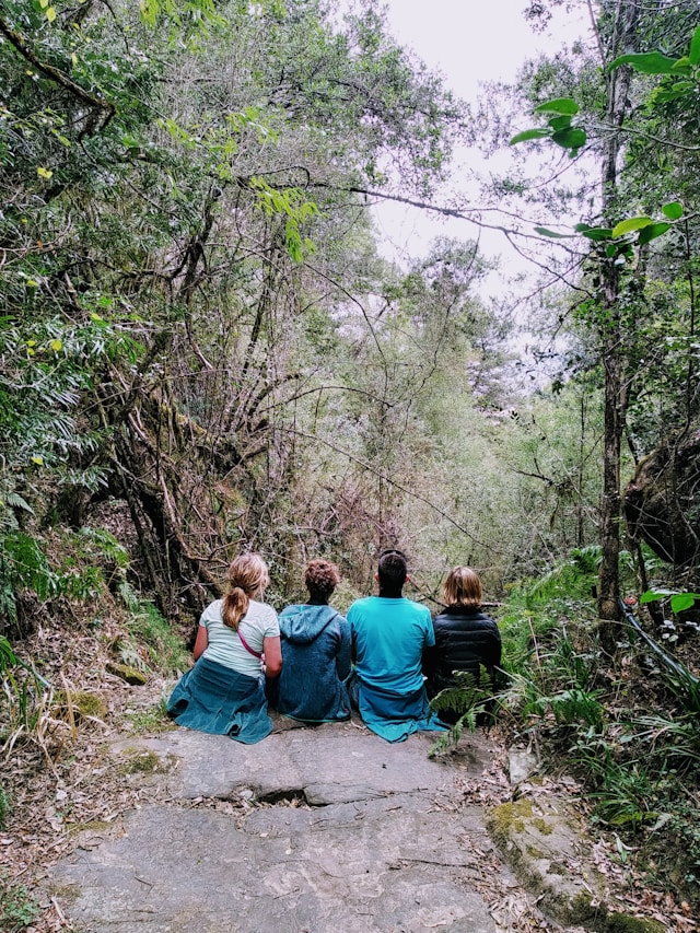 Sur les chemins et en thérapie. Photo joshua gaunt unsplash